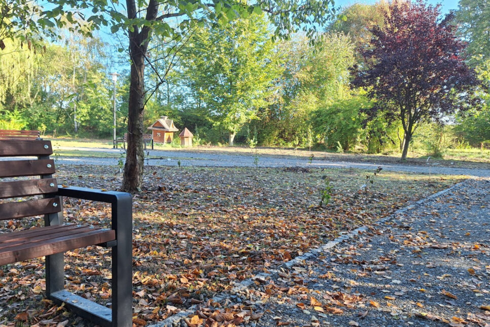 Cztery gminy – wspólny cel: ochrona przyrody. Gmina Drwina