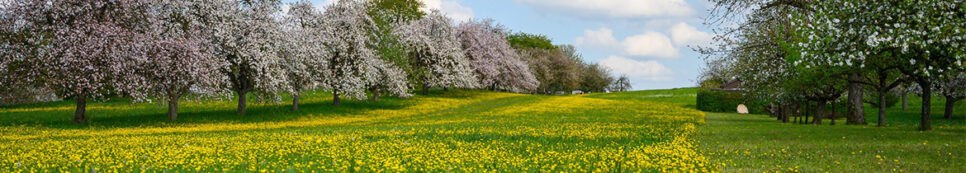 14 października – Dzień Edukacji Narodowej. Gmina Sekowa