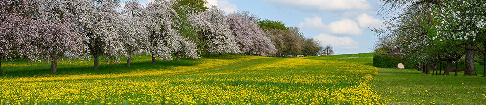 14 października – Dzień Edukacji Narodowej. Gmina Sekowa