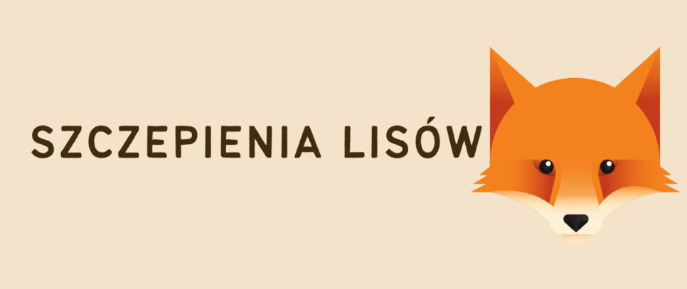 Jesienna akcja szczepienia lisów przeciwko wściekliźnie – październik 2025. Stryszów