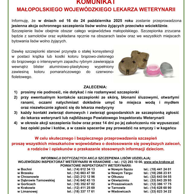 Jesienna akcja ochronnego szczepienia lisów przeciwko wściekliźnie.. Gmina Drwina