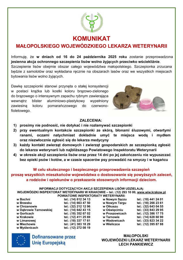 Jesienna akcja ochronnego szczepienia lisów przeciwko wściekliźnie.. Gmina Drwina