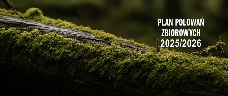 Plan polowań zbiorowych Koła Łowieckiego „Szarak” w sezonie 2025/2026. Lanckorona
