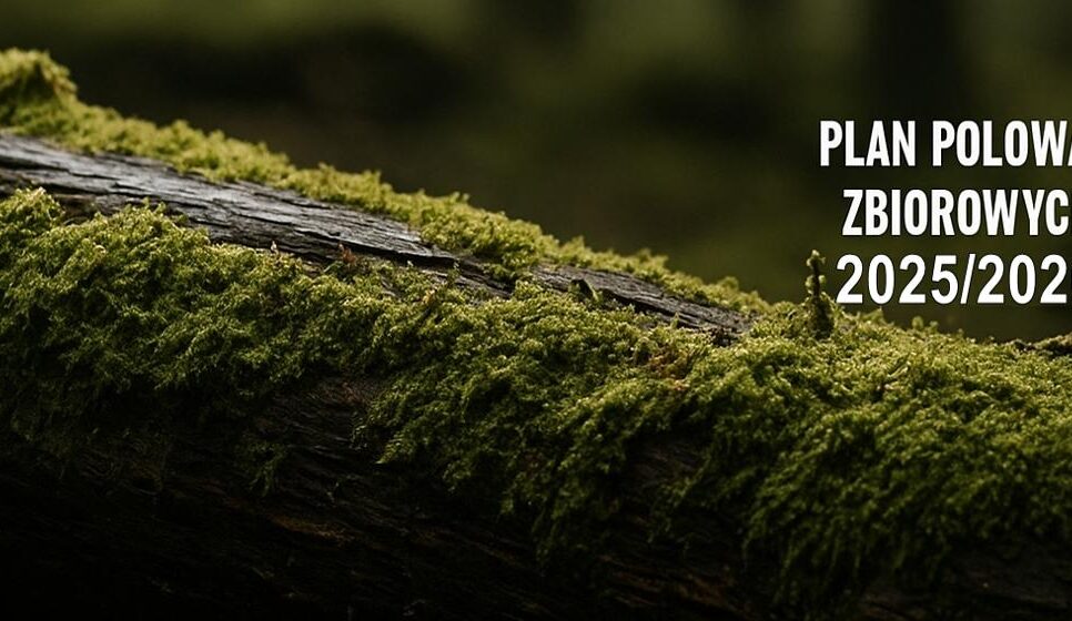 Plan polowań zbiorowych Koła Łowieckiego „Szarak” w sezonie 2025/2026. Lanckorona