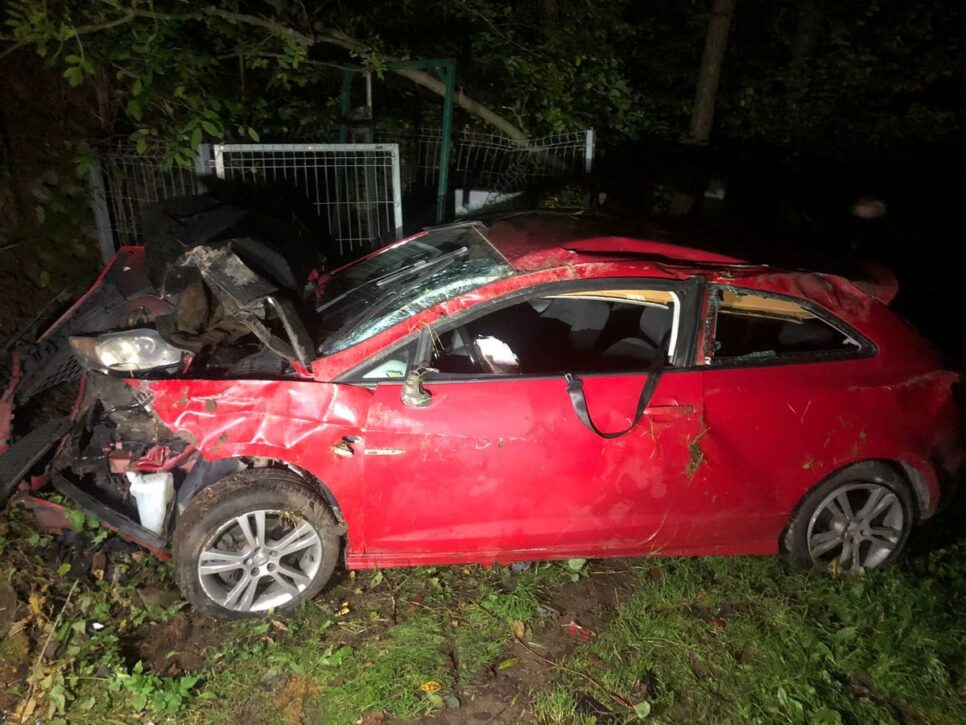 Nietrzeźwy kierowca wpadł do rowu – tłumaczył, że omijał zwierzę. Nowy Targ