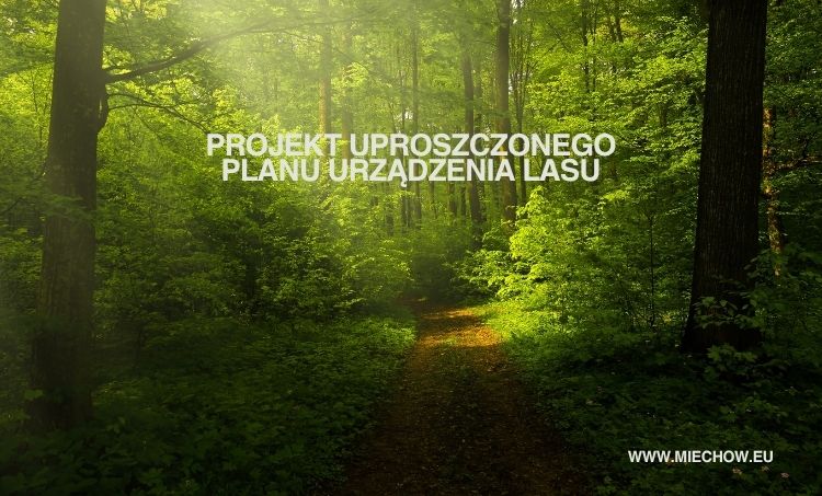 Obwieszczenie o wyłożeniu do publicznego wglądu. Gmina Miechów