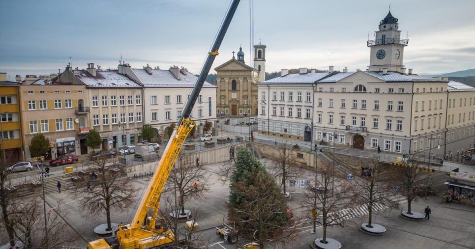 Choinka na gorlicki Rynek poszukiwana!. Gorlice