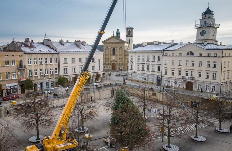 Choinka na gorlicki Rynek poszukiwana!. Gorlice