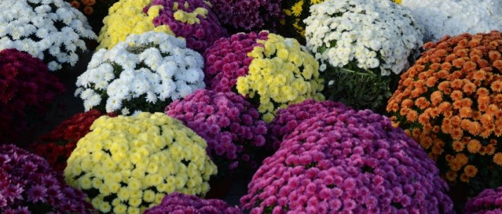 Czasowa zmiana organizacji ruchu na Placu Kilińskiego w Myślenicach. Gmina Myślenice