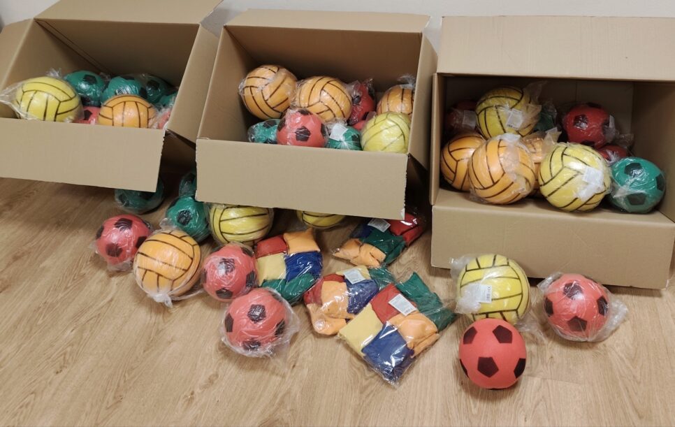 Program Mały Mistrz 2025 r.. Gmina Żegocina