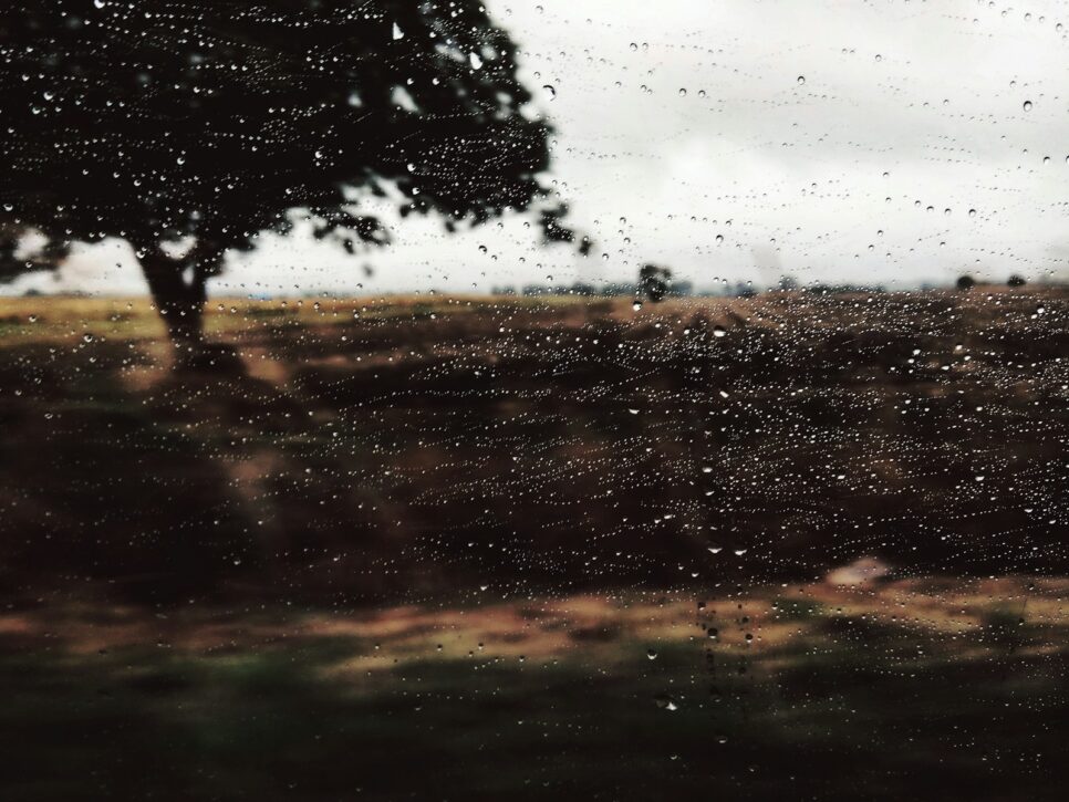 a view of a field through a rain soaked window