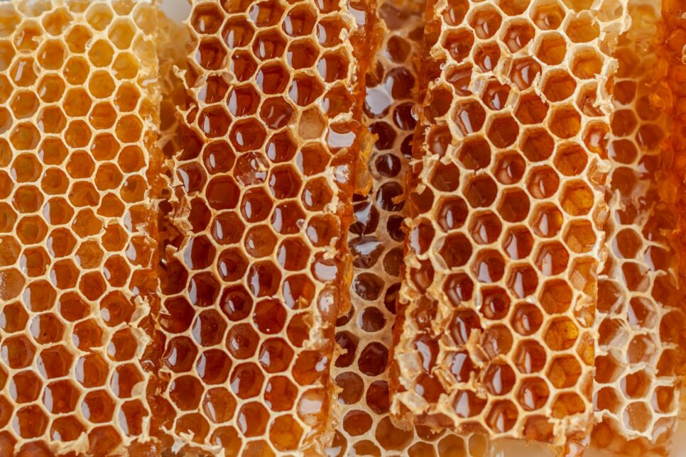a close up of a bunch of honeycombs