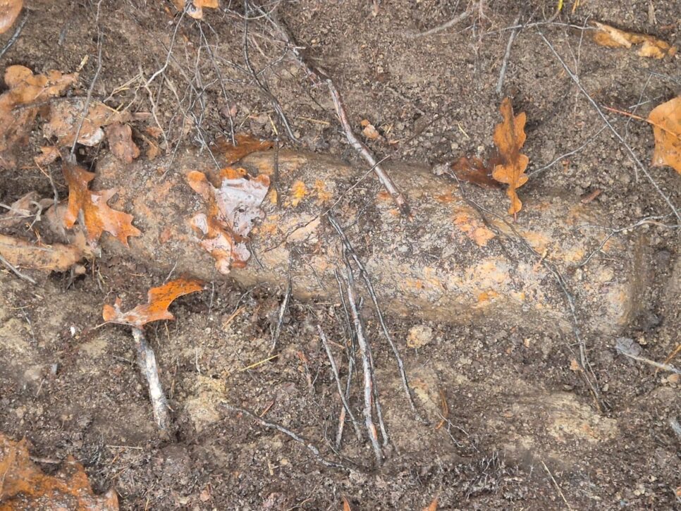 W Brodach znaleziono niewybuch . Wadowice