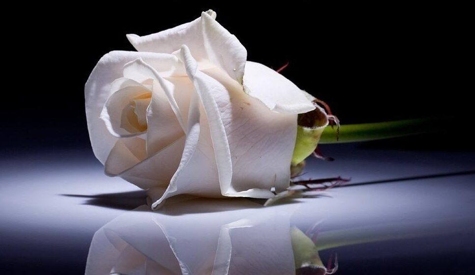 Odszedł śp. Marek Wałęga. Gorlice