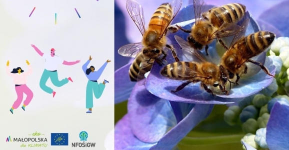 Projekt zintegrowanego LIFE- IP EKOMAŁOPOLSKA. Powiat Brzeski