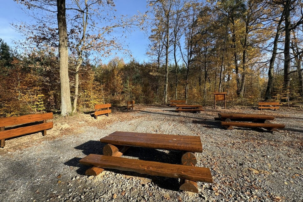 Miejsce odpoczynku w Lesie Szczepanowskim. Gmina Brzesko