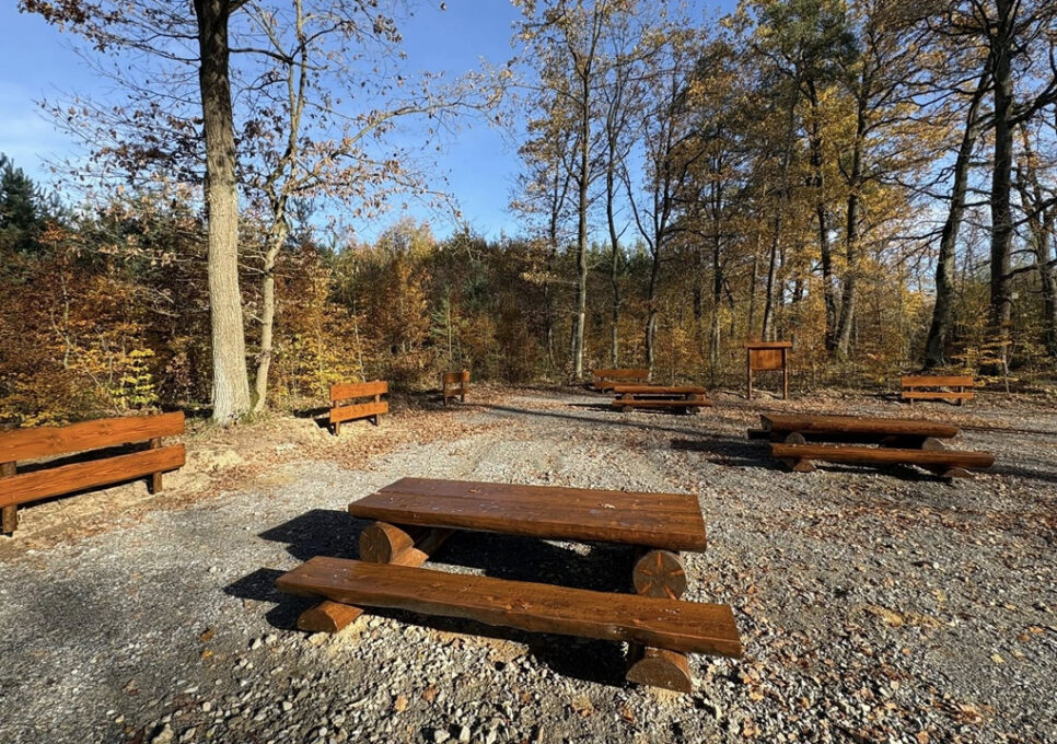 Miejsce odpoczynku w Lesie Szczepanowskim. Gmina Brzesko