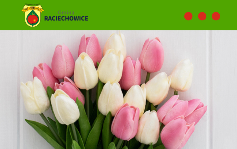 Wyjątkowy jubileusz w gminie Raciechowice – setne urodziny mieszkanki Mierznia. Gmina Raciechowice