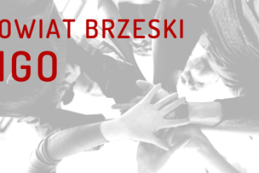 Otwarty konkurs ofert na realizację zadań publicznych. Powiat Brzeski