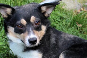 PRAWDZIWYCH PRZYJACIÓŁ MA SIĘ NA ZAWSZE!. Raba Wyżna